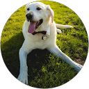 Sarah Davidson profile picture